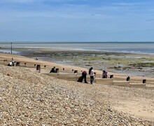 Pett level 2