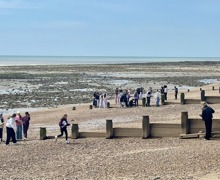 Pett level 4