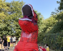 IMG 0782