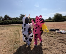 IMG 0777